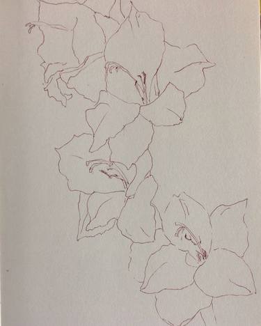 Original Floral Drawings by Angeline Kyba