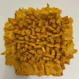 The colour of corn by Nada Velickovic