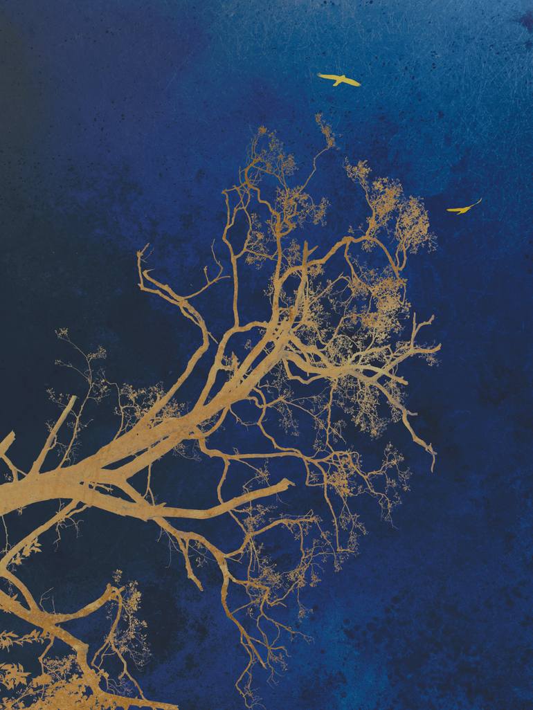 Original Nature Photography by August Langhout | Abstract Art on Paper | Tree of light (series Whisper of the Sky)