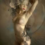 ORCHIDE by Carmen Velcic