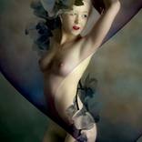 BLACK ORCHIDE by Carmen Velcic