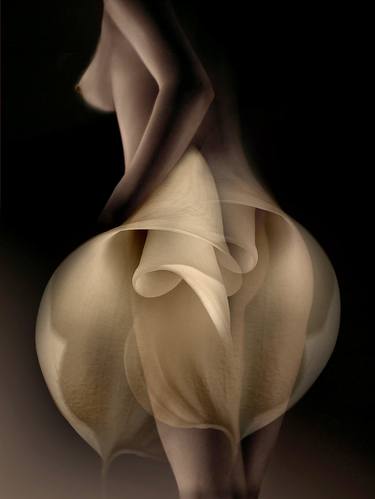 Print of Abstract Erotic Mixed Media by Carmen Velcic