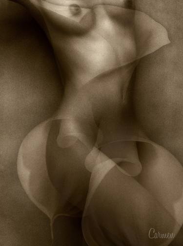 Original Abstract Erotic Mixed Media by Carmen Velcic