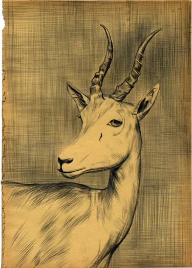 Print of Animal Drawings by Mehmet Dere