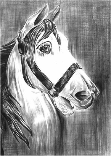 Original Realism Animal Drawings by Mehmet Dere