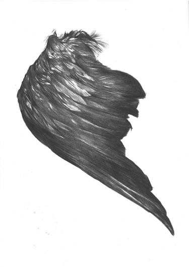 Print of Animal Drawings by Mehmet Dere