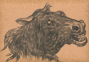 Original Animal Drawings by Mehmet Dere