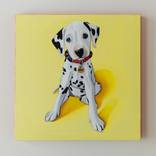 Mans Best Friend by Kalika Groaning