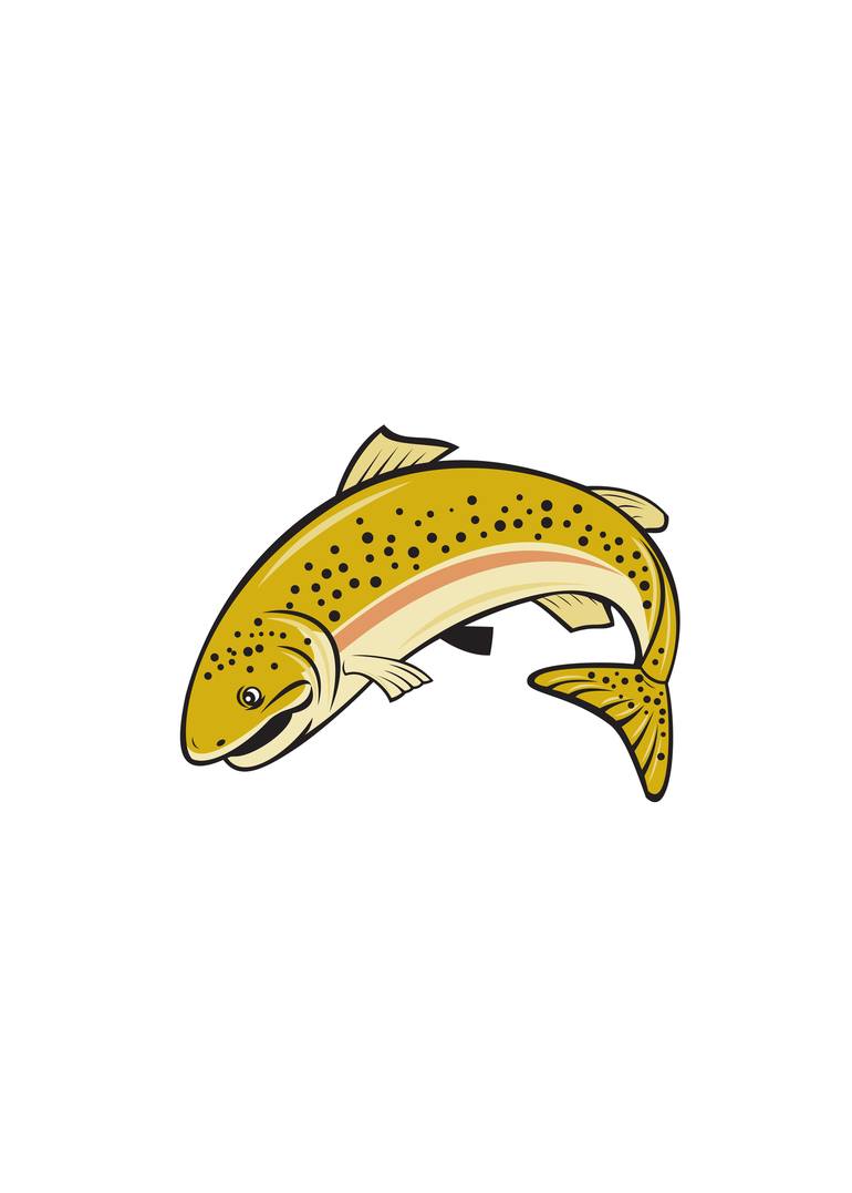 Rainbow Trout Jumping Cartoon Isolated New Media By Aloysius