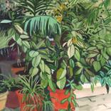 Collection Mediterranean Revival