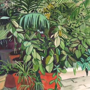 Ficus and the palmtree on the patio