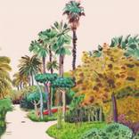 Tall Palmtrees by Marta Chojnacka