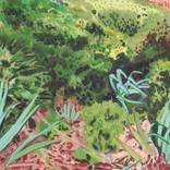 Aloe Vera and rocks by Marta Chojnacka