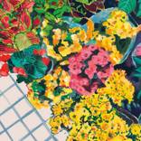Yellow flowers and begonias. by Marta Chojnacka
