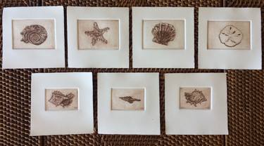 Limited Edition Suite of 7 Seashell Etchings  - Limited Edition 9 of 35 NFS thumb