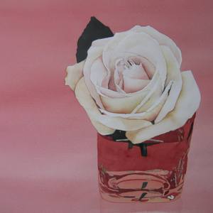 Collection Flowers & such...