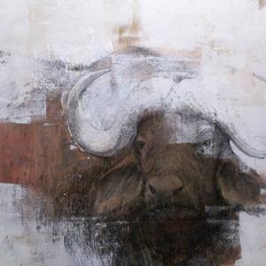 bison