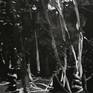 Rape. 
Charcoal on canvas. 276 x 146 cm. 2016.

The work will be shipped with the wooden stretcher disassembled and safely packed in a reinforced plastic tube.