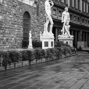 Collection #Florence's Renaissance