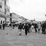 Collection #City's sketches / Venice