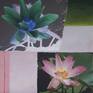 view additional image 1