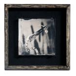 Two Skeletons - Ambrotype by David Heger