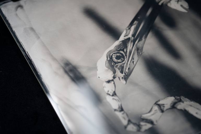 Original Art Deco Still Life Photography by David Heger