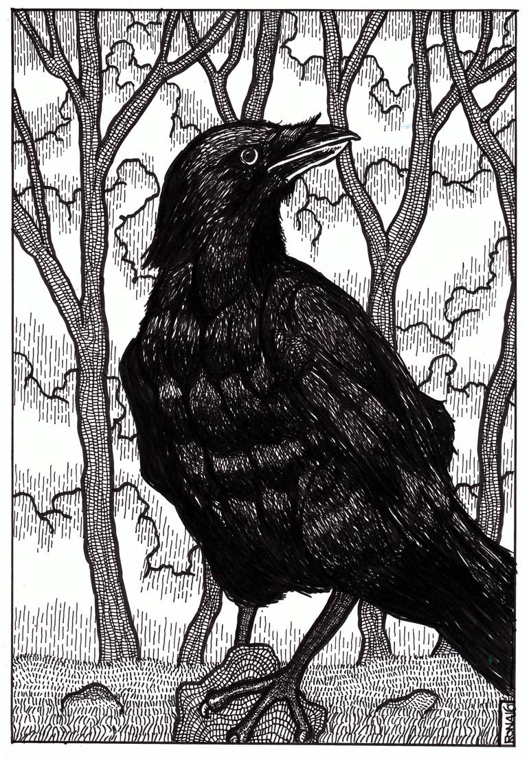 crow Drawing by Ronan Crowley | Saatchi Art