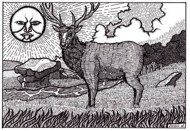Print of Animal Drawings by Ronan Crowley