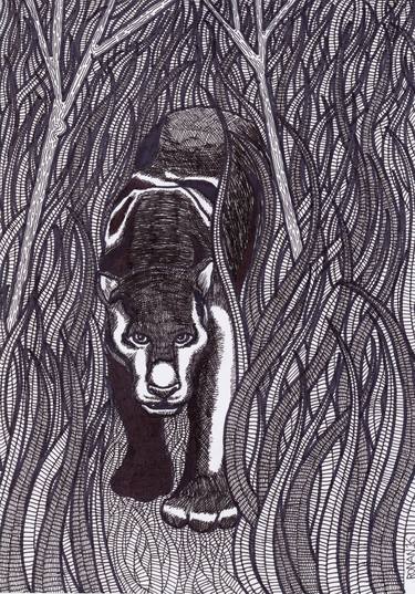 Print of Illustration Animal Drawings by Ronan Crowley