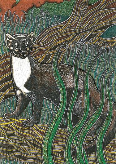 Print of Illustration Animal Paintings by Ronan Crowley