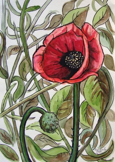 Print of Botanic Paintings by Ronan Crowley