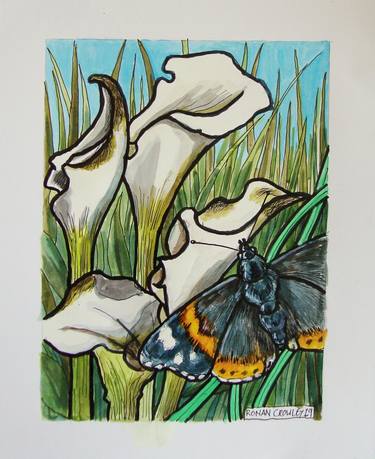 Print of Animal Paintings by Ronan Crowley