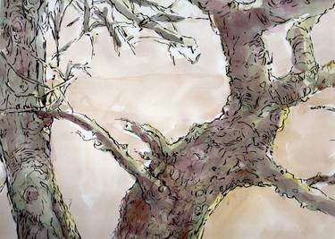 Original Fine Art Tree Paintings by peter symons