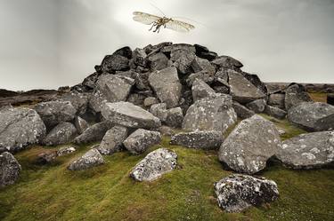 Stones have been known to move and trees to speak. thumb