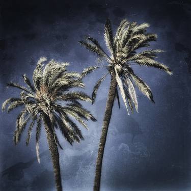 Palm trees of Cyprus - Limited Edition 60 of 60 thumb