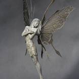 Collection January 2024