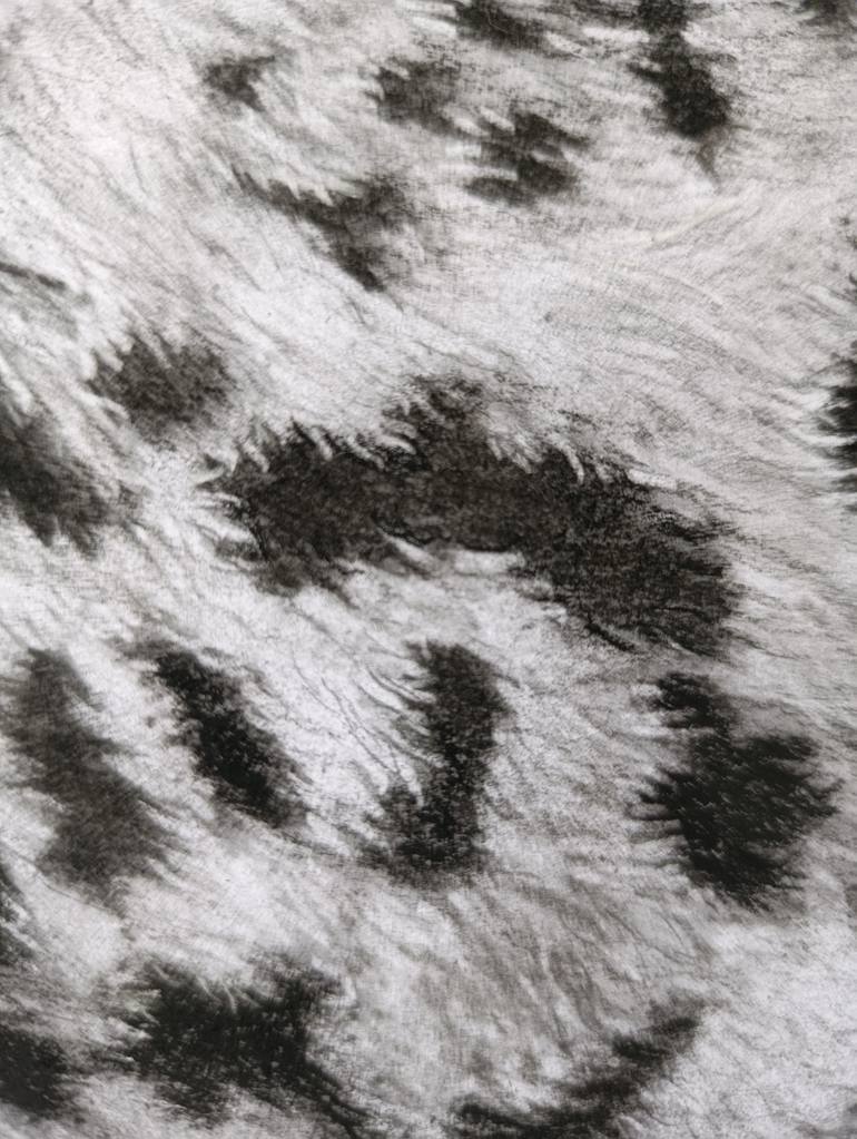 Original Black & White Animal Drawing by Maria Tancheva