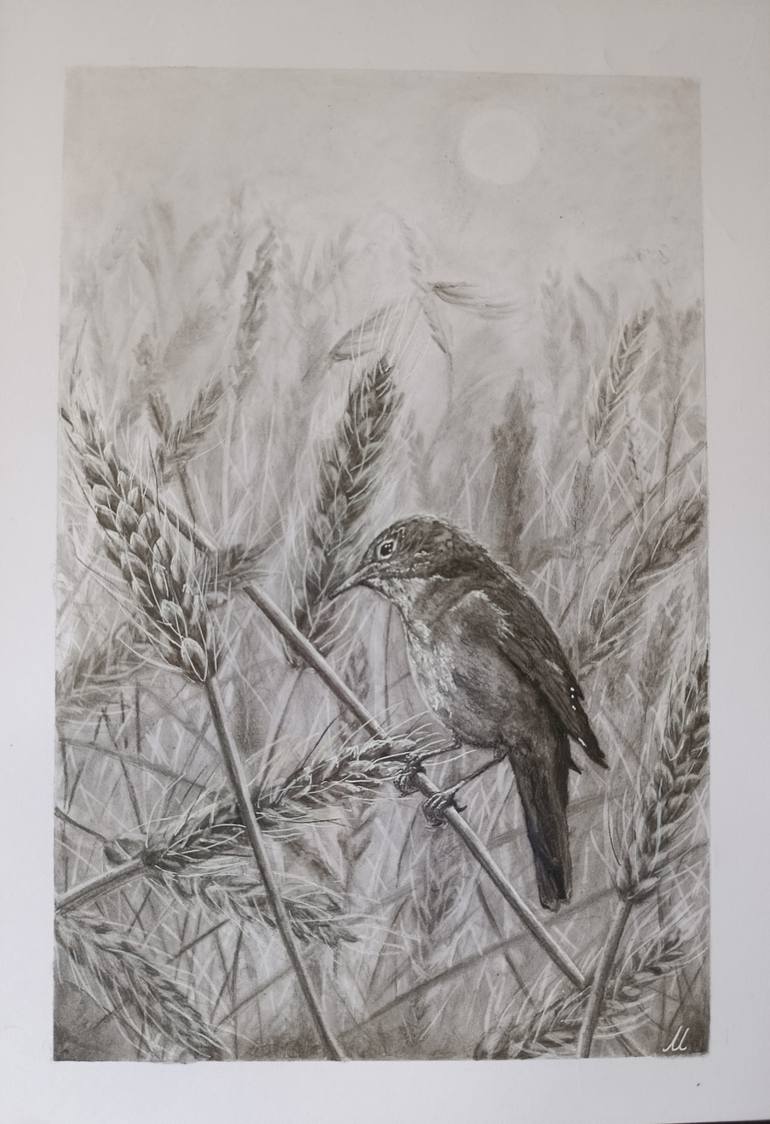 Original Animal Drawing by Maria Tancheva | Black & White Art on Paper | Little bird in the rye