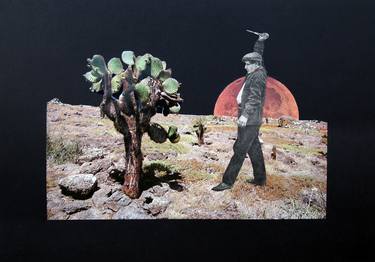Original Surrealism Nature Collage by Erwan Soyer