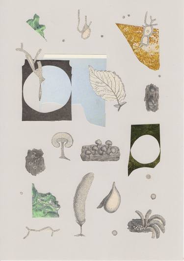 Original Nature Collage by Erwan Soyer