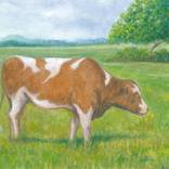 Cow on Pasture by Robert Casilla