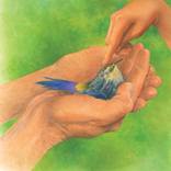 Young and Old Hands by Robert Casilla