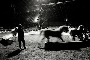 American Circus in Rome - ©1995  thumb