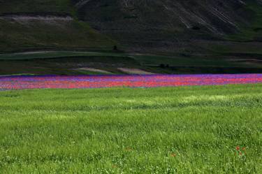 Castelluccio di Norcia - Big format thumb