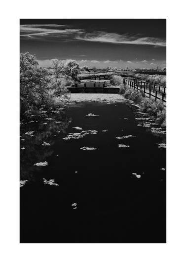 Infrared Photography - Lio Piccolo, Venice thumb