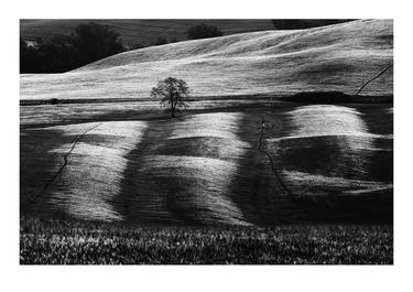 Val d'Orcia 08 thumb