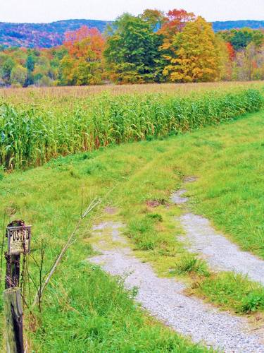 New York Autumn Scenic 5 thumb