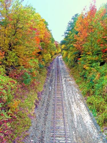 New York Autumn Railway 2 thumb