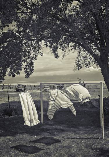 Out to Dry - Antelope Island State Park thumb